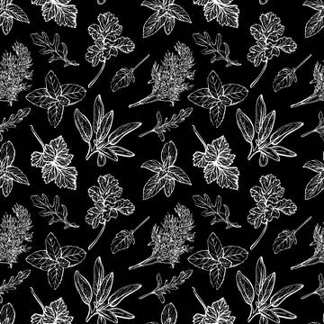 Wild grass seamless pattern. herbs and plants Illustrazione stock