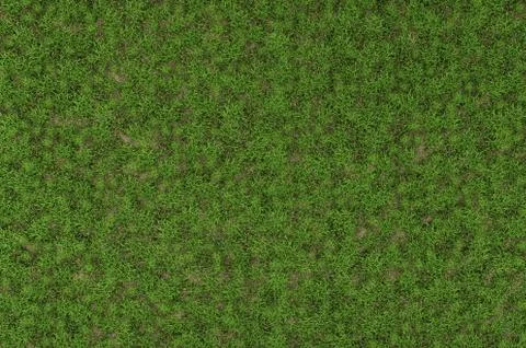 Wild grass texture Stock Illustration