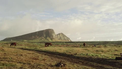 Wild Grazing Horses Easter Island Stock Footage 77167785