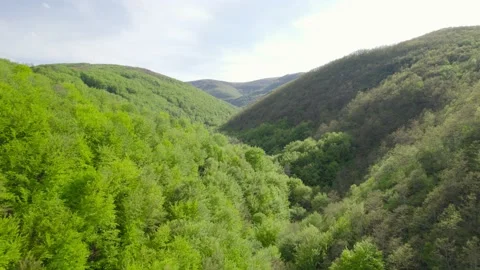 Wild green ll H.265 스톡 동영상 230614642