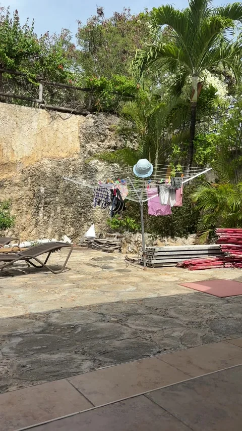 Wild green monkey passing rotary washing line in Barbados tropical garden Stockbeeldmateriaal 340211756