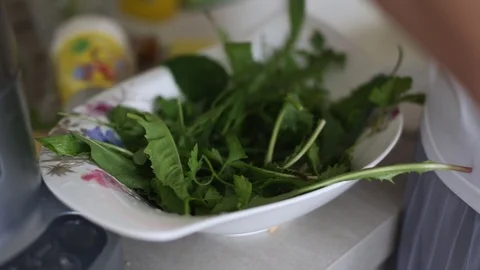 Wild greens detox Stock Footage 109546473