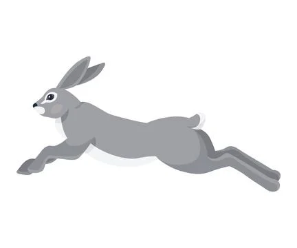 Wild hare in action or rabbit is jumping. Cute fast bunny or gray coney run.. Stock Illustration