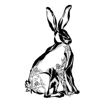 Wild hare or brown rabbit. European Bunny or cowardly coney. Hand drawn engra Stock Illustration