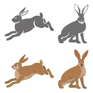 Wild hare or rabbit is jumping. Cute Bunny runs away. cute bunny is standing. Stock Illustration