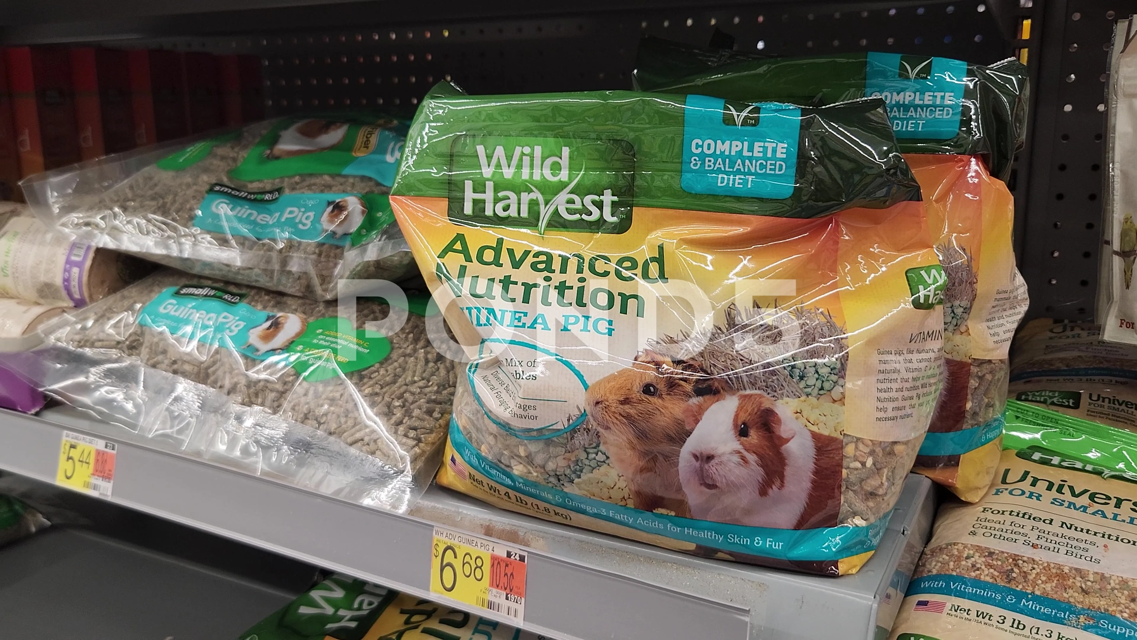 Wild harvest clearance guinea pig food