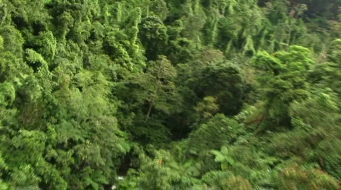 Wild helicopter ride 2 Stock Footage 286689