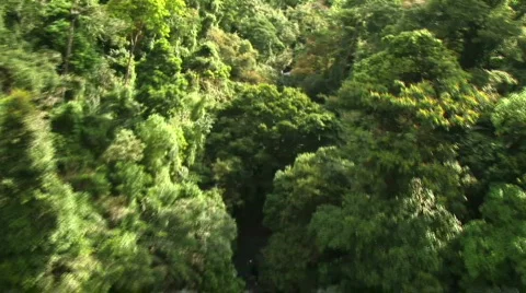 Wild helicopter ride Stock Footage 286695