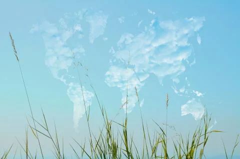 Wild herbs on world map shaped clouds Stock Illustration