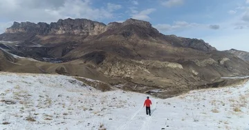 In the wild in the highlands Stock Footage 85663190