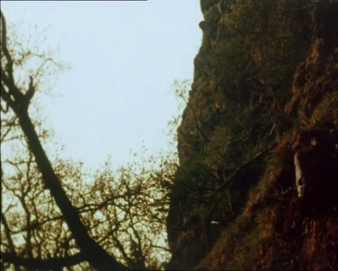 Wild Highlands, shots of ravens nesting in Scottish cliffs, Scotland 1961 Stock Footage 143463703