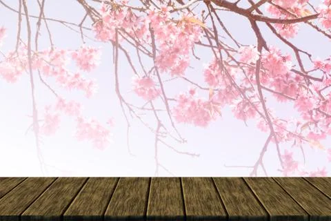 Wild himalayan cherry flower (soft focus and color filter) Stock Illustration