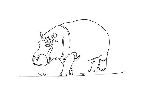 Wild hippopotamus facing forward while treading across grassland Illustrazione stock