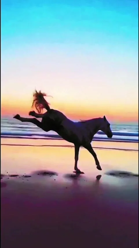 Wild Horse Galloping on the Beach During Sunset Vídeos de archivo 332429761
