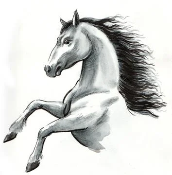 Wild horse Stock Illustration