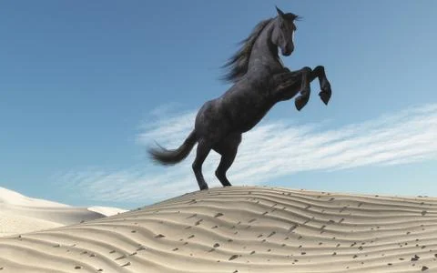Wild horse Stock Illustration