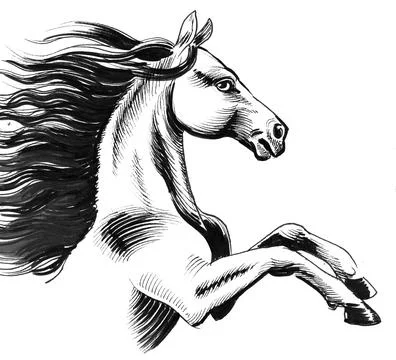 Wild horse Stock Illustration