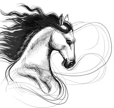 Wild horse Illustrazione stock