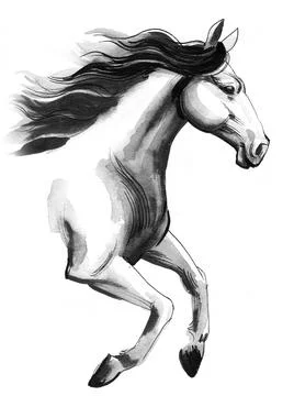 Wild horse Stock-Illustration