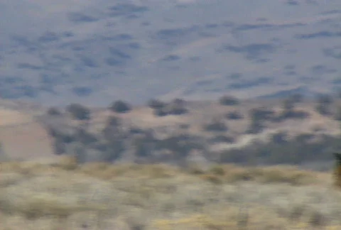 Wild horses 27 Stock Footage 490484