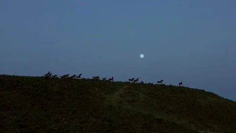 Wild Horses Monument Moonlit Pull-away Drone Shot 스톡 동영상 184675128
