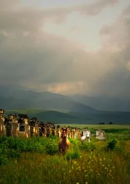 Wild horses Stock Photos