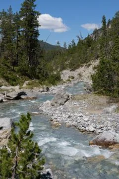 Wild ice cold mountain brook in summer in national park in Engadin Graubuenden Stock Photos