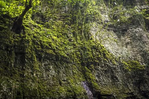 Wild impassable places Stock Photos