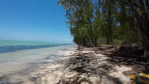 Wild island Stock Footage 293201804