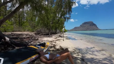 Wild island Stock Footage 293202192