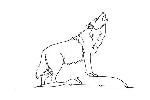 Wild jackal or wolf standing on a rocky mound howling toward the sky イラスト素材