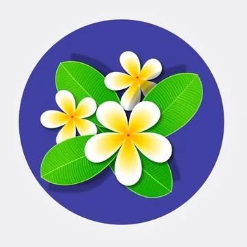 Wild Jasmine Illustrazione stock