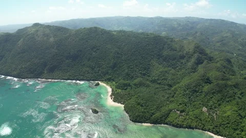 Wild Jungle Edge at a Secluded Beach-15 Stock-Footage 322131003