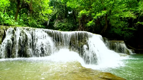 Wild jungle waterfall and surrounding nature Stock Footage 233145256