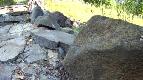 Wild kitten sneaks up on the rocks Stockbeeldmateriaal 54307765