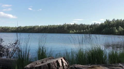 Wild lake Stock Footage 45410884