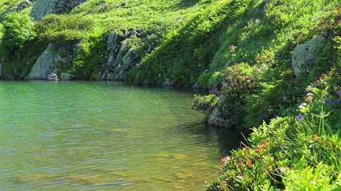 Wild lake landscape Stockbeeldmateriaal 89502231