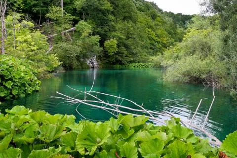 Wild lake Stock Photos