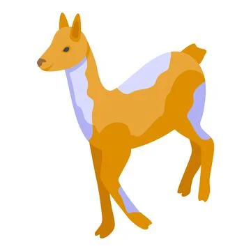 Wild lama icon isometric vector. Cool baby Stock Illustration