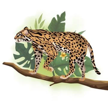 Wild leopard in tree branch scene Stock Illustration