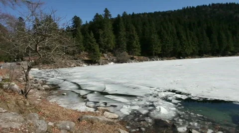 Wild life Stock Footage 756299