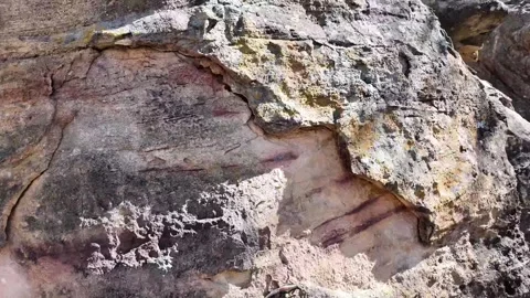 Wild Lizard Crawling Across Sunlit Sandstone Rock in Serra da Capivara National Stockbeeldmateriaal 345718463