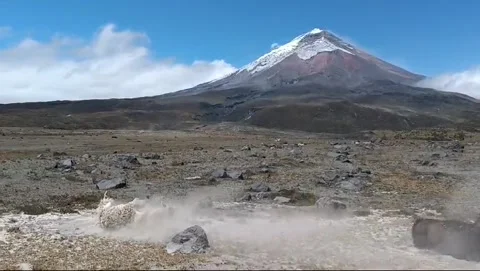 Wild Llama playing in the dust with Cotopaxi volcano on the background, Ecuador Stock Footage 290170834