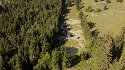 Wild Log House in the middle of the forest During Summer Stock Footage 218479249