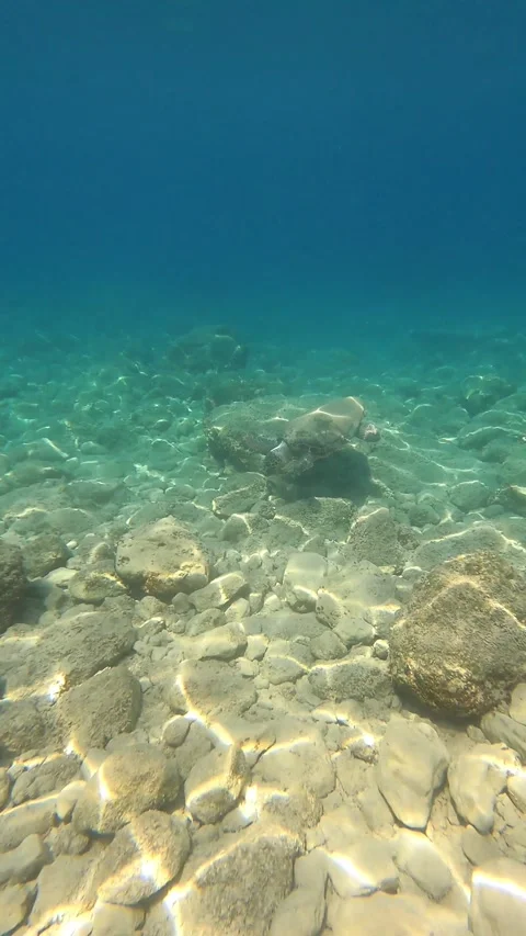Wild Loggerhead Turtle Spotted at Platia Ammos Beach Kefalonia Greece Video stock 341909018
