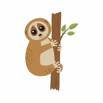 Wild loris on the branch. Vector illustration Stock Illustration