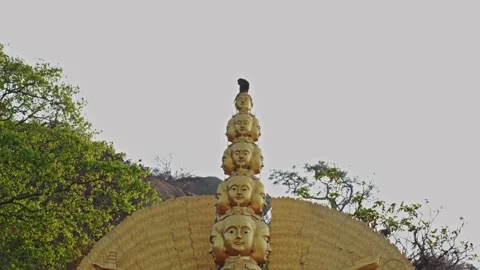 Wild Macaque Monkey On Buddhist Statue In Thailand Stock Footage 345495420