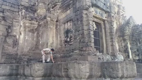 Wild Macaque Monkeys Grooming and Playing in Lopburi Thailand Stock Footage 341454368