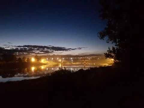 Wild magic forest Stock Photos