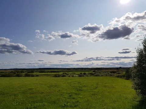 Wild magic forest Stock Photos